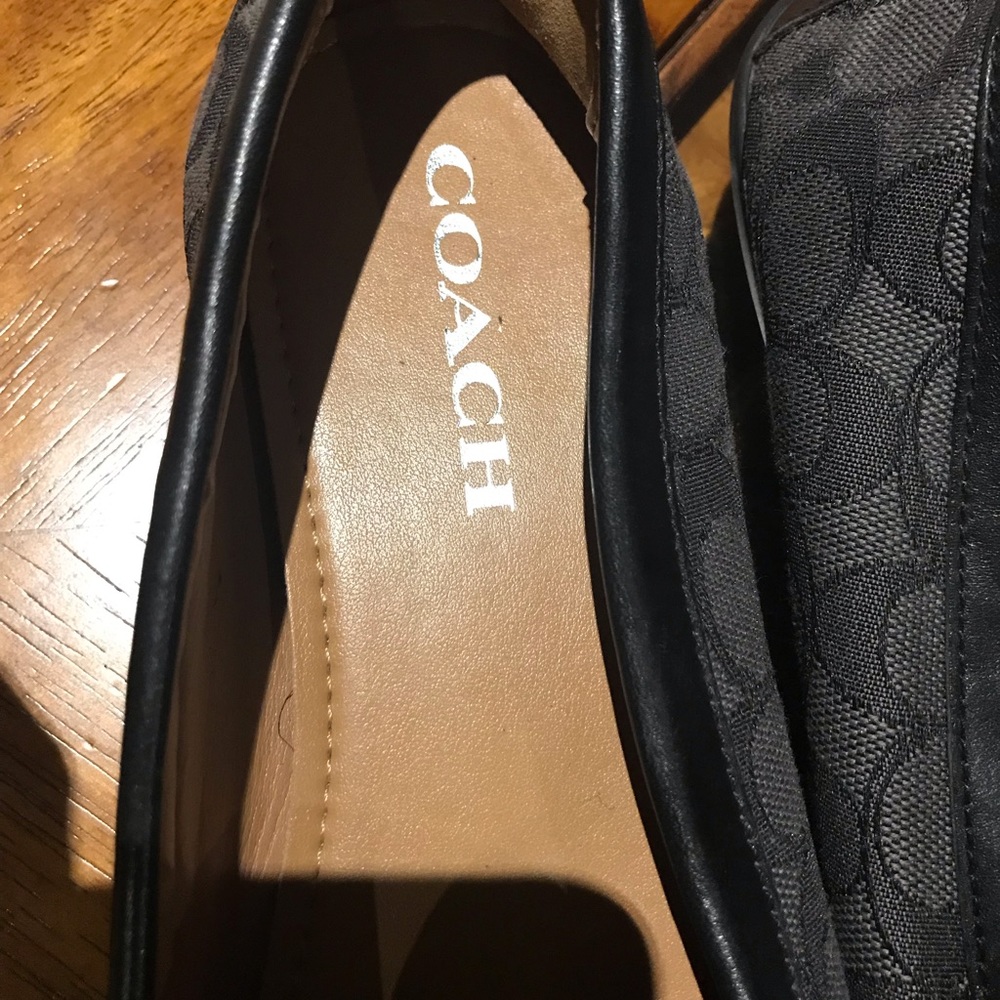 Coach - Picture 5 of 7